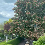 Guest house Wollscheid