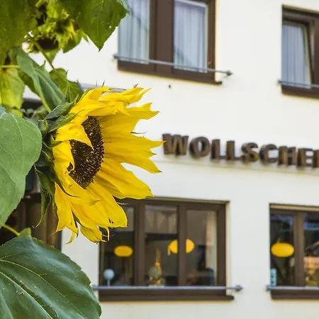 Wollscheid
