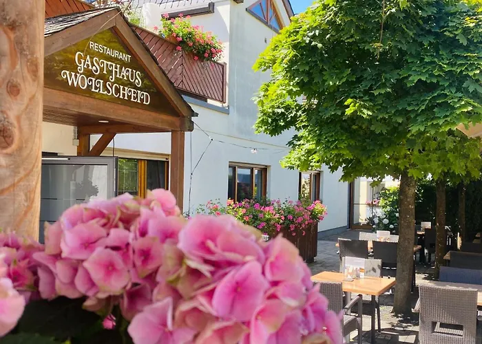 Wollscheid Penzion Trevír